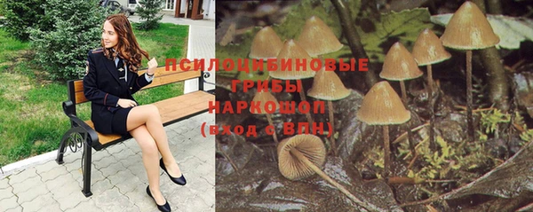mdpv Володарск